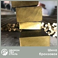 Шина бронзовая